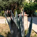 Il Cantuccio 게스트하우스 루카