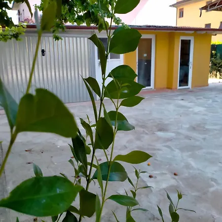 Il Cantuccio Casa de hóspedes